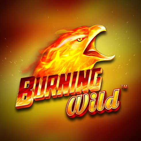 Burning Wild