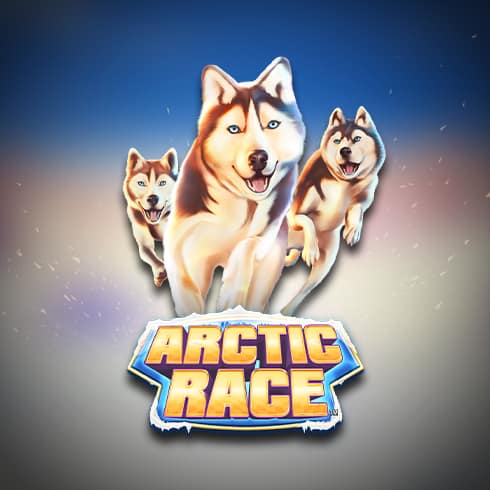 Arctic Race