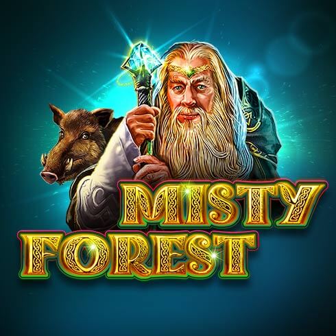 Misty Forest