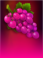 Reel Fruits