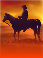 Western Gold