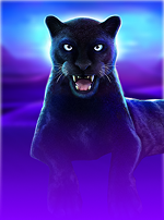 Egypt Cash