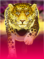 Wild Five