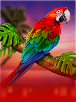 Flamingo Paradise