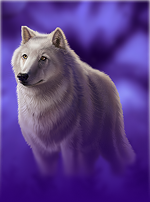 Wolf Run