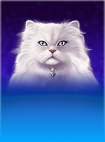 Kitty Glitter