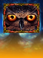 Owl Eyes