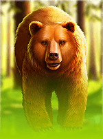Grizzly Strike