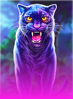 Panther Moon Bonus Lines