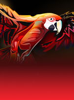 Maestro