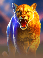 COUGAR BLITZ™