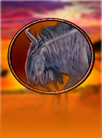 Wild Pride