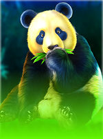 Pandas Fortune
