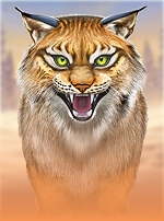 Wild North