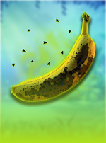 Crazy Bananas